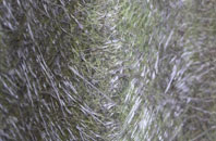 Helm fibreglass roof work